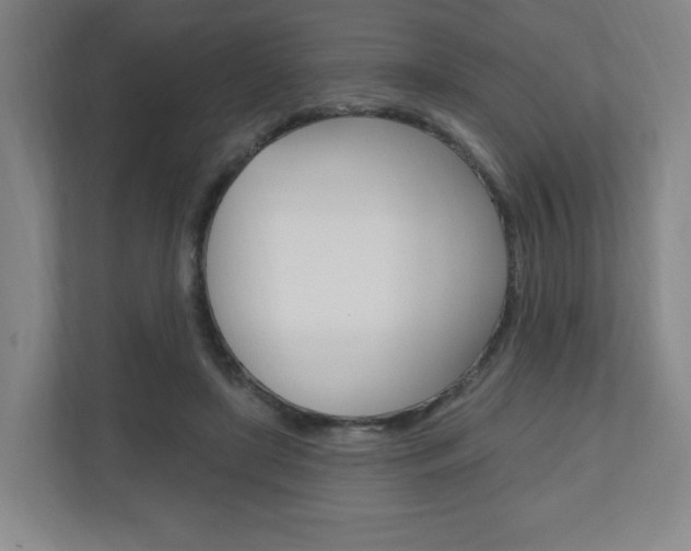 X0000111040451200906251141