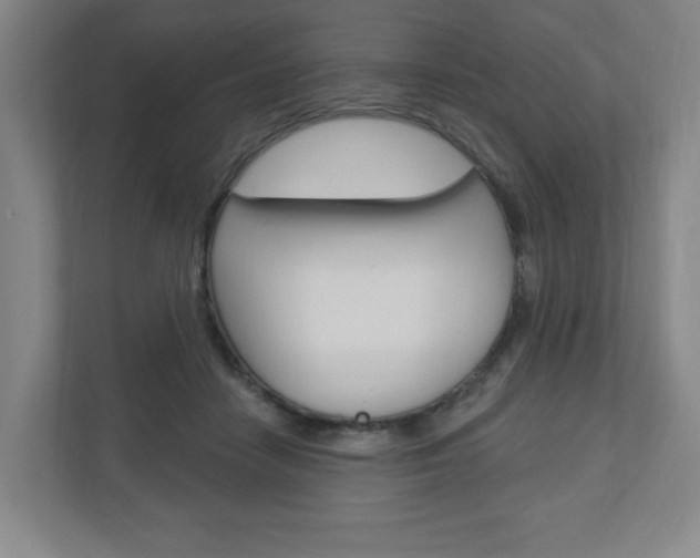 X0000111040458200906251141