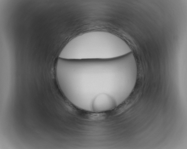 X0000111040465200906251141
