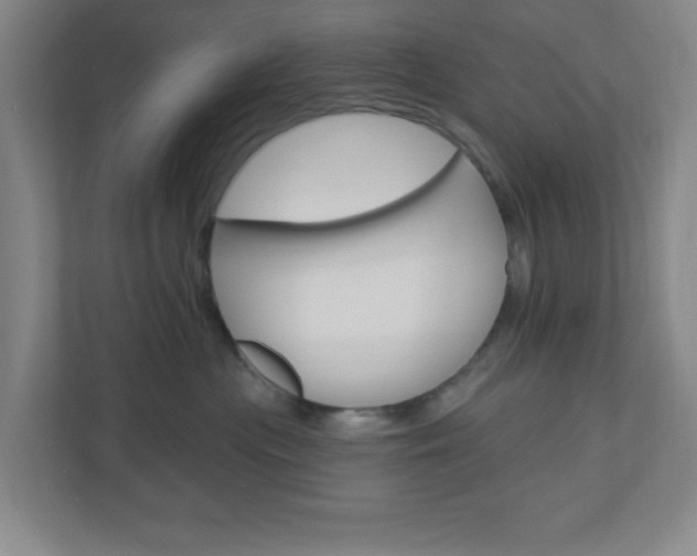 X0000111040477200906251141