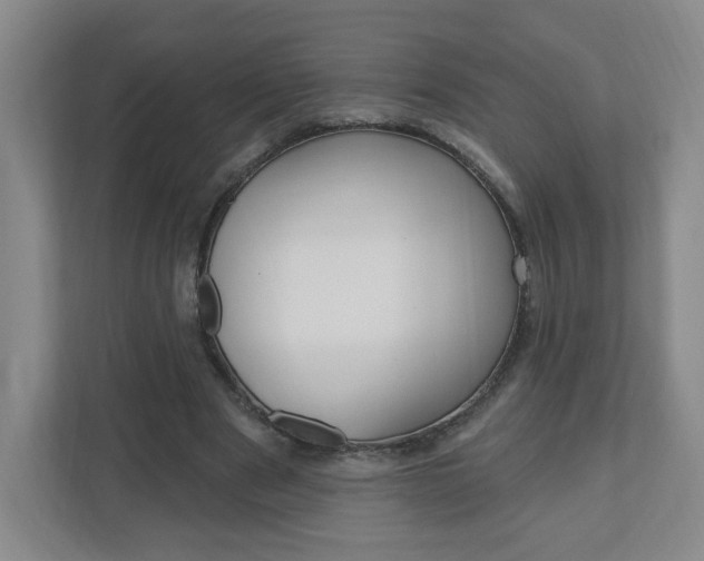 X0000111040489200906251141