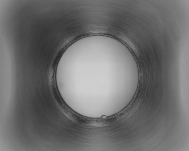 X0000111040490200906251141