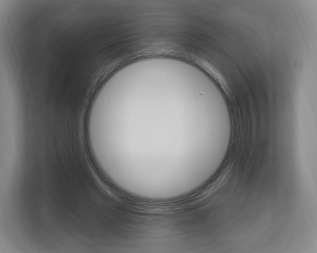 X0000111040493200906251141