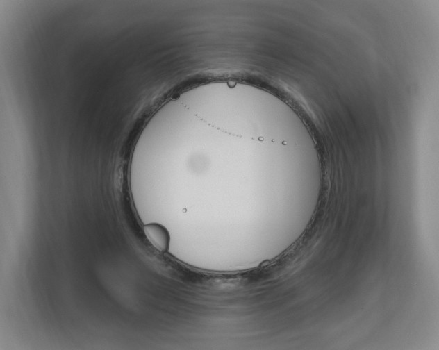 X0000111040495200906251140