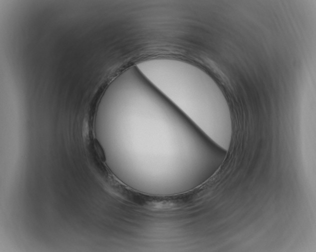 X0000111040500200906251140