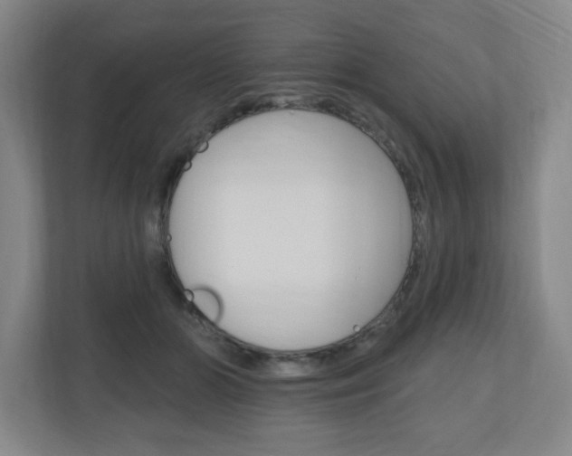 X0000111040510200906251140