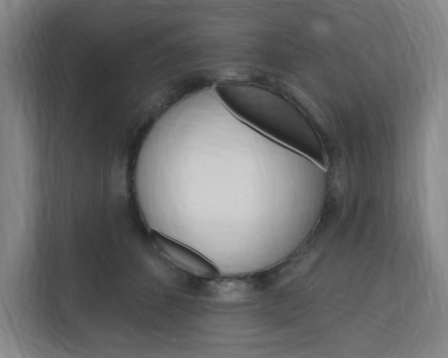 X0000111040512200906251140