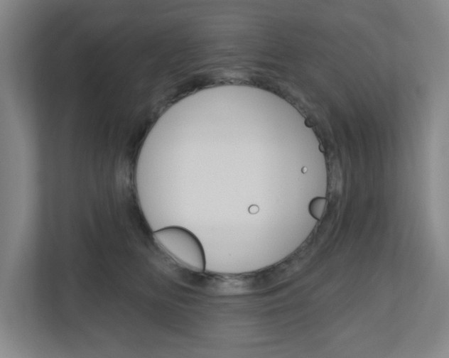 X0000111040518200906251140