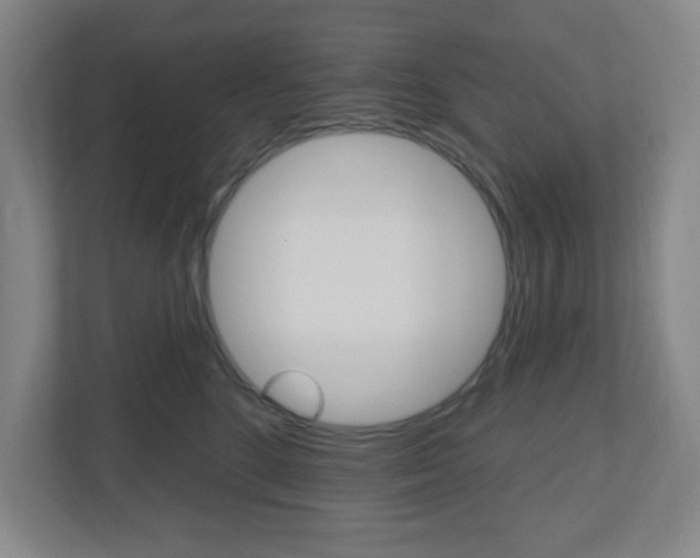 X0000111040520200906251140