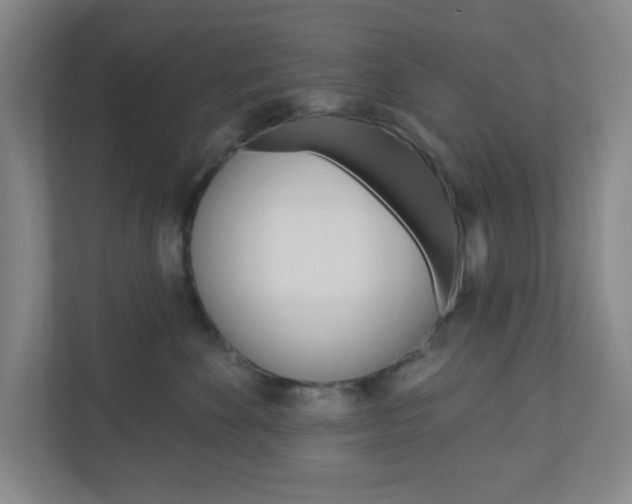 X0000111040524200906251140