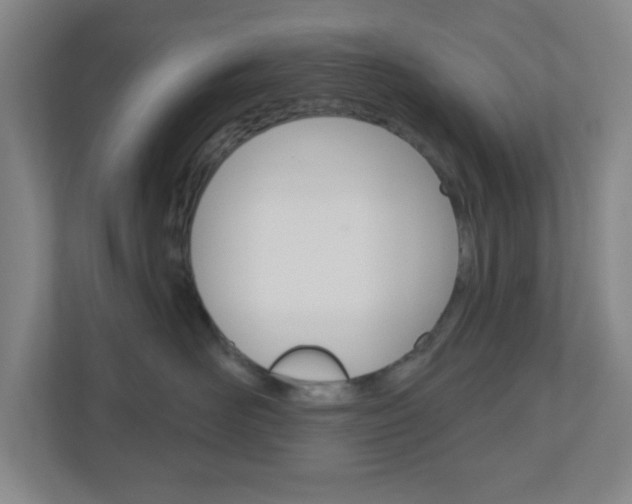X0000111040526200906251140
