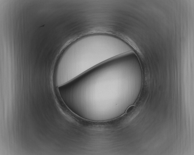 X0000111040530200906251139