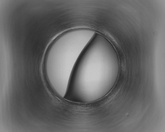 X0000111040532200906251139
