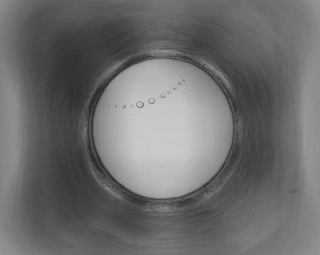 X0000111040533200906251139