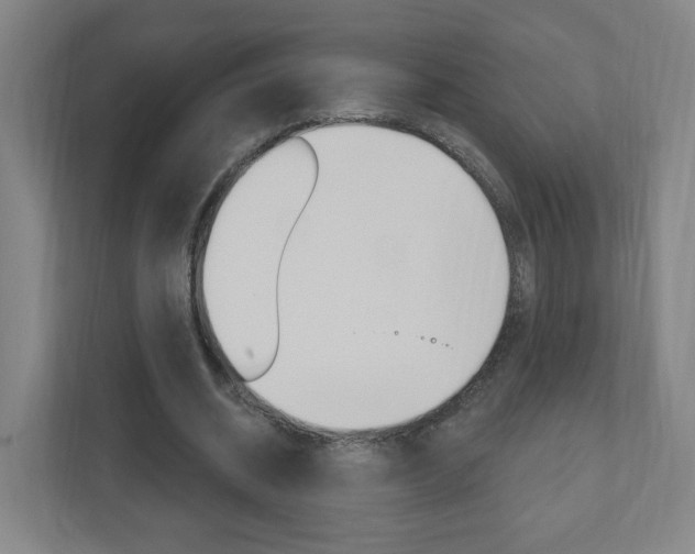 X0000111040534200906251139