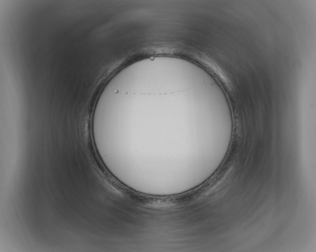 X0000111040537200906251140