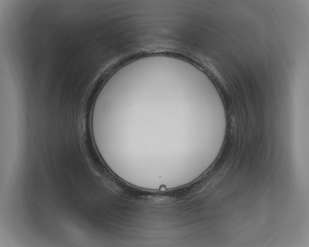 X0000111040539200906251140