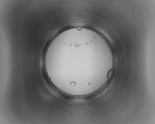X0000111040541200906251140