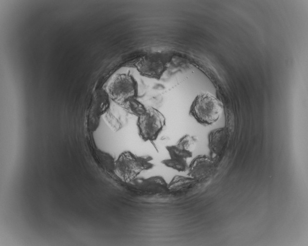 X0000111040545200906251140