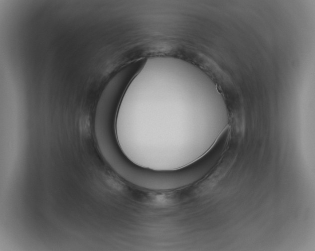 X0000111040564200906251140