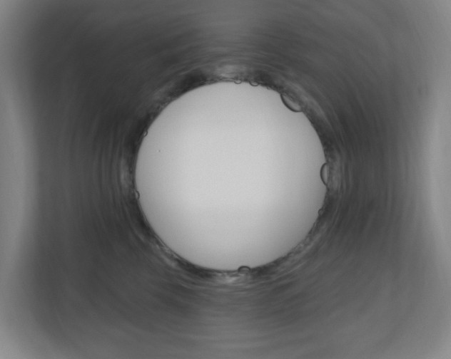 X0000111040569200906251140