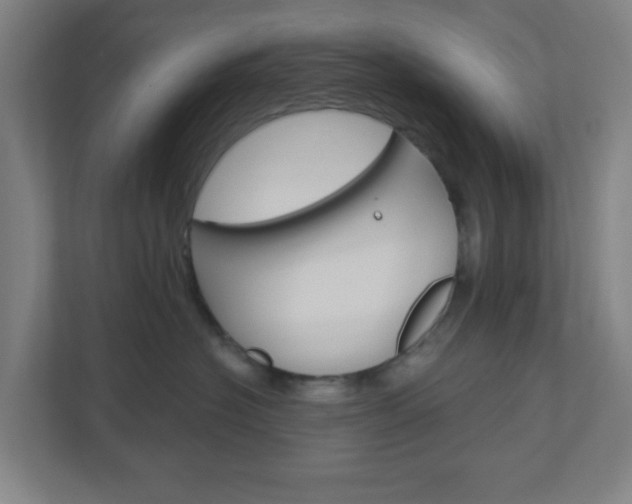 X0000111040574200906251140