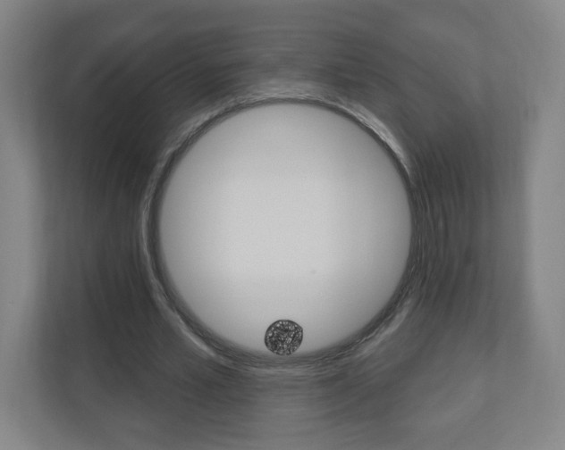 X0000111040581200906251139