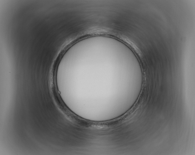 X0000111040582200906251139