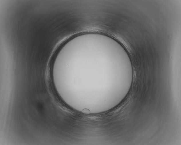 X0000111040583200906251139