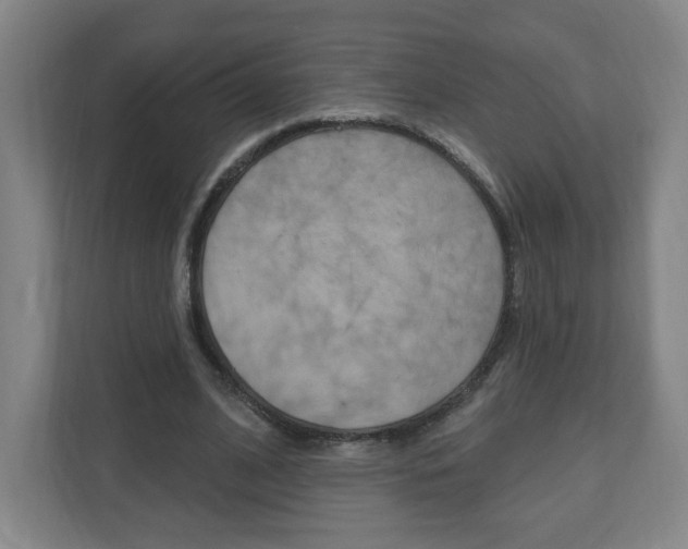 X0000111040584200906251139