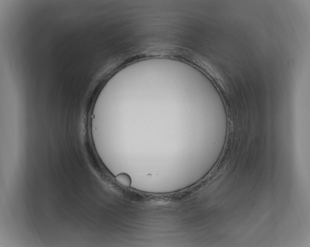 X0000111040586200906251139