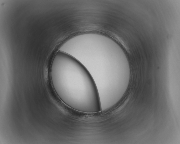 X0000111040589200906251139