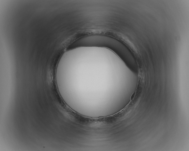 X0000111040593200906251139