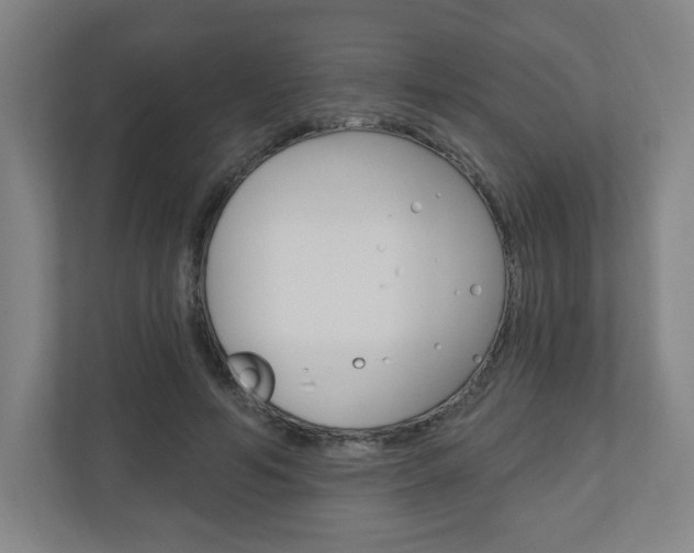 X0000111040594200906251139