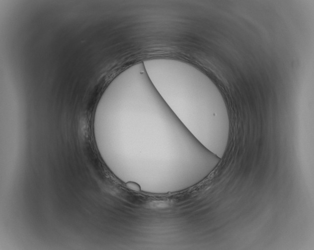 X0000111040595200906251139