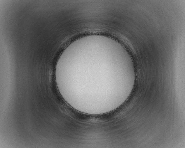 X0000111040596200906251139