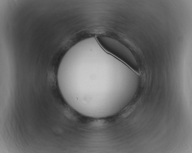 X0000111040609200906251139
