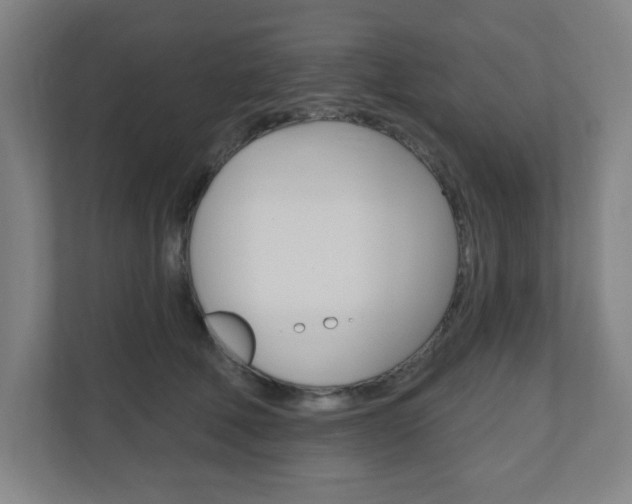 X0000111040610200906251139