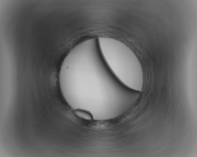 X0000111040612200906251139