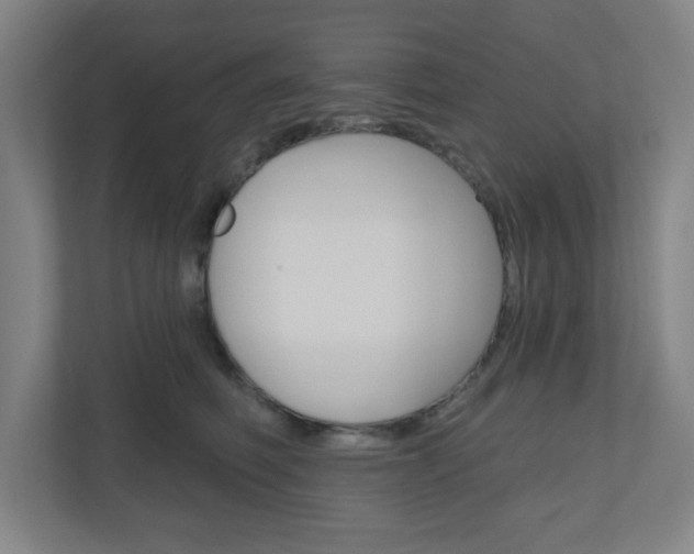 X0000111040614200906251139