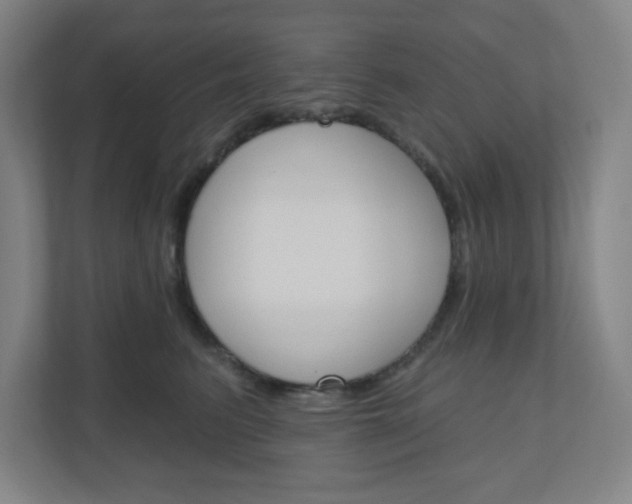X0000111040615200906251139