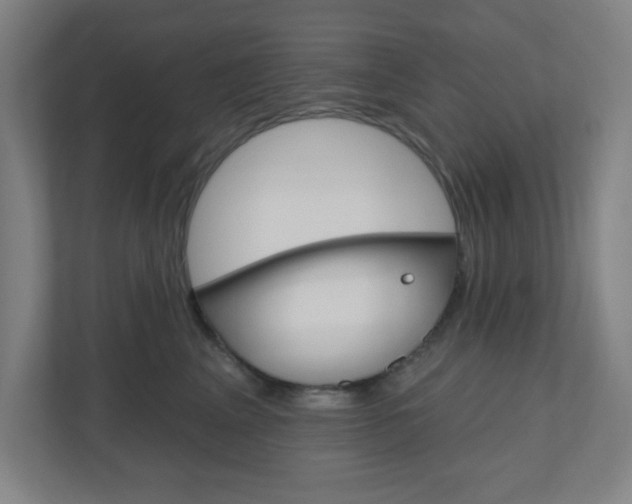 X0000111040617200906251139