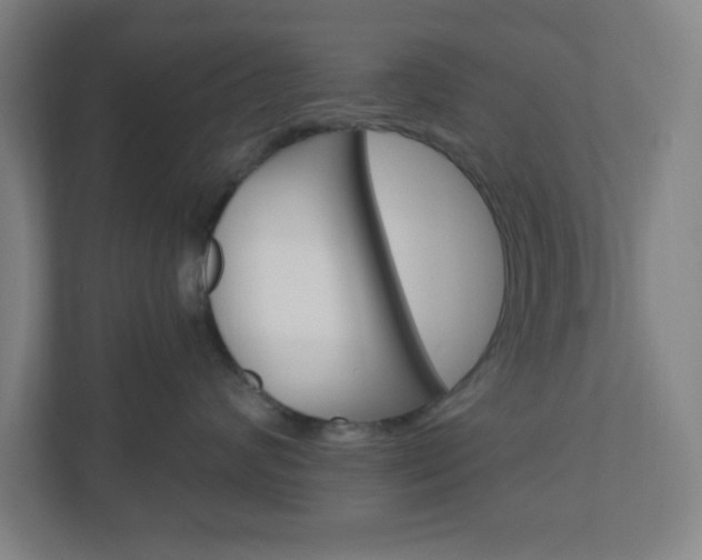 X0000111040624200906251139