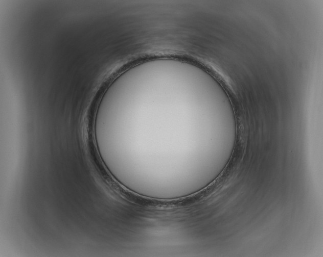 X0000111040631200906251138