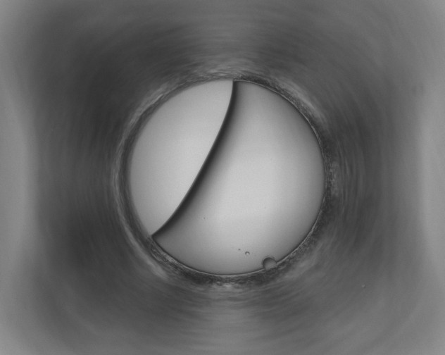 X0000111040634200906251138