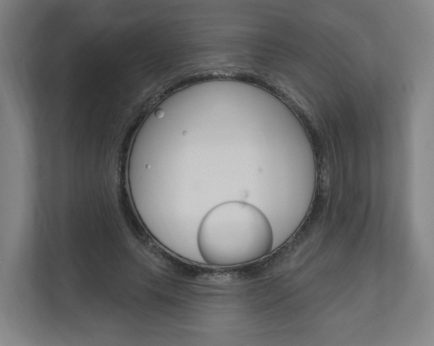 X0000111040639200906251138