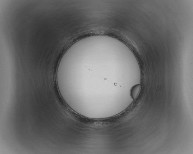 X0000111040641200906251138