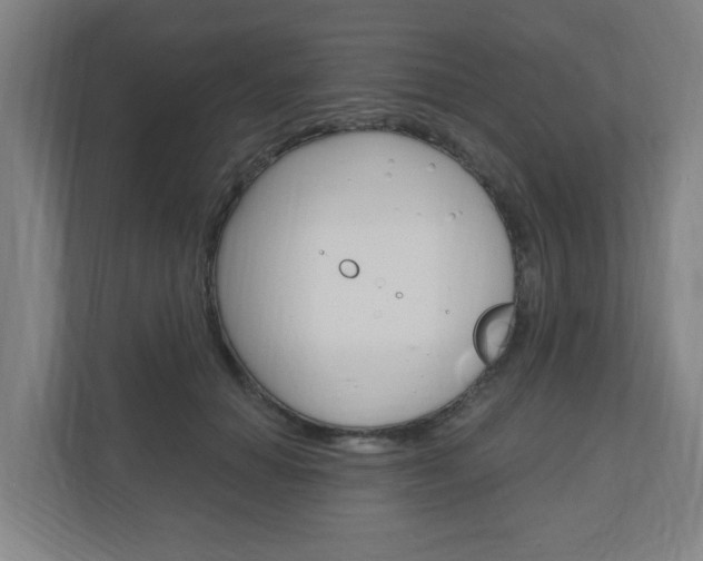 X0000111040654200906251139