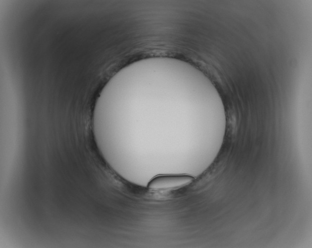 X0000111040665200906251139