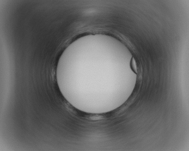 X0000111040669200906251139